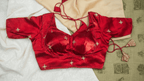 Vasudha Silk Blouse - Red